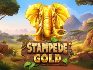 Stampede Gold thumbnail